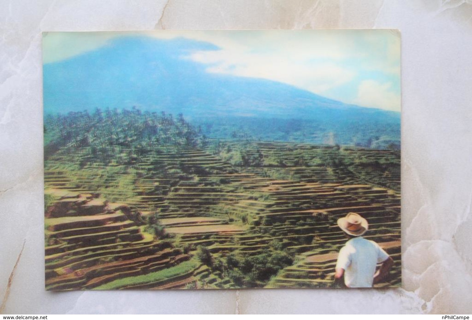 #13-INDONESIA POSTCARD 1970s 3D CARD(TOP STEREO), RICE TERRACE, RENDANG, BALI - Indonesia