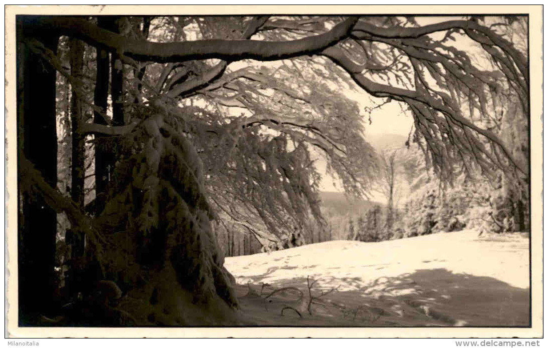 Steyr * 3. 1. 1934 - Steyr