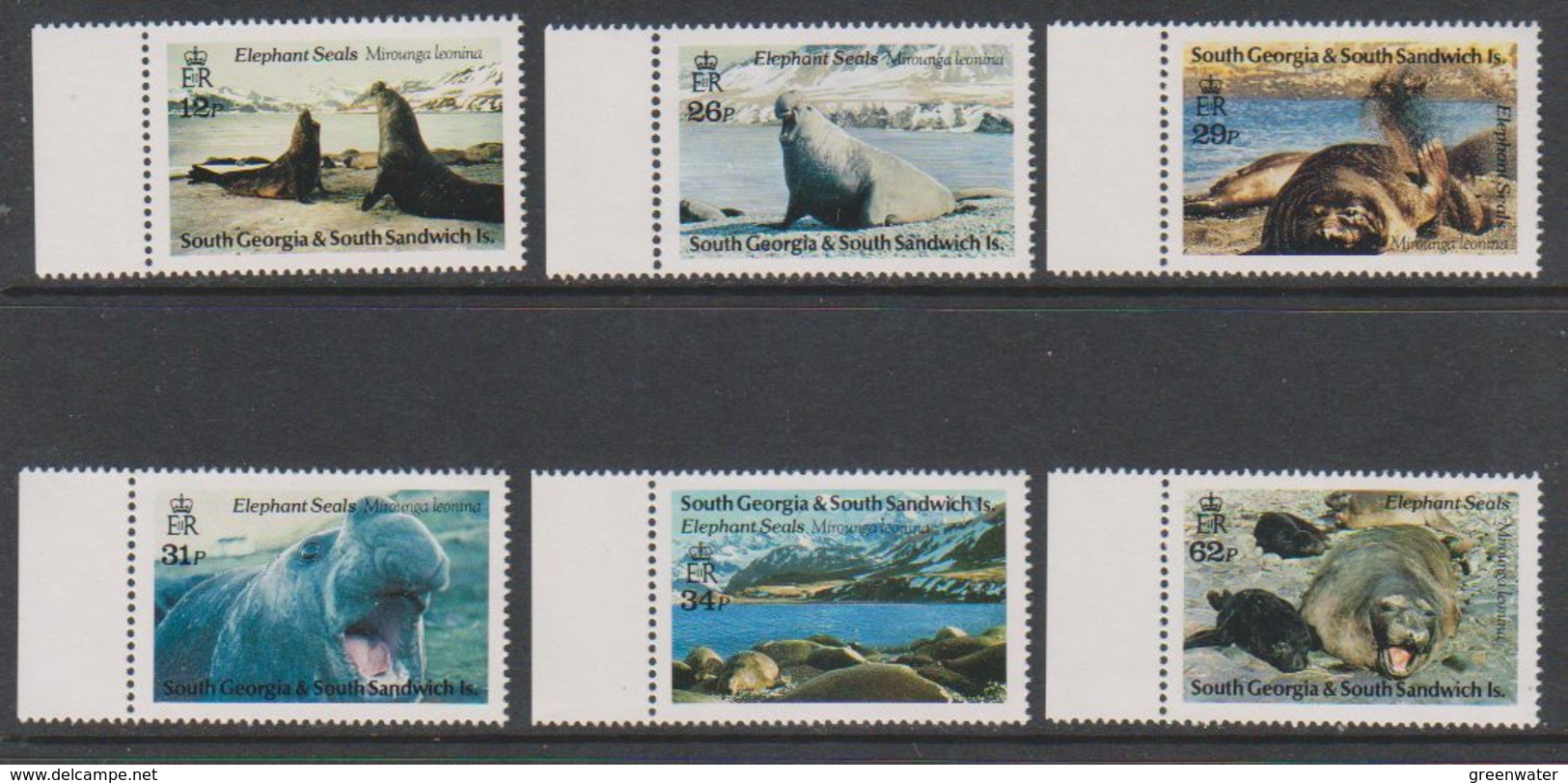 South Georgia 1991 Elephant Seals 6v (+margin) ** Mnh (39453D) - Zuid-Georgia