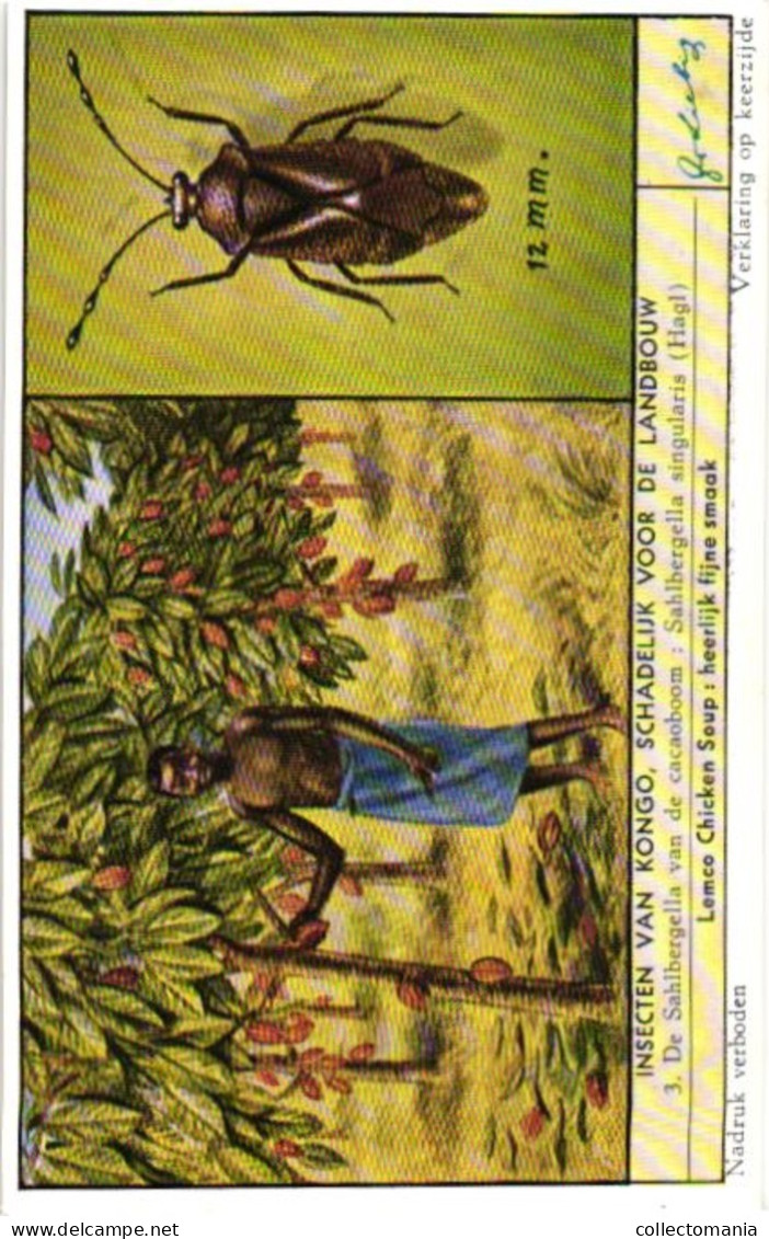 1668  INSECTEN VAN KONGO SCHADELIJK VOOR DE LANDBOUW - Insectes Du Congo Nuisibles ... Liebig Serie  –  Read Description - Liebig