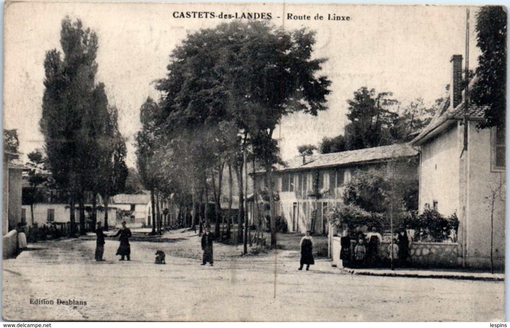 40 - CASTETS Des LANDES --  Route De Linxe - Castets