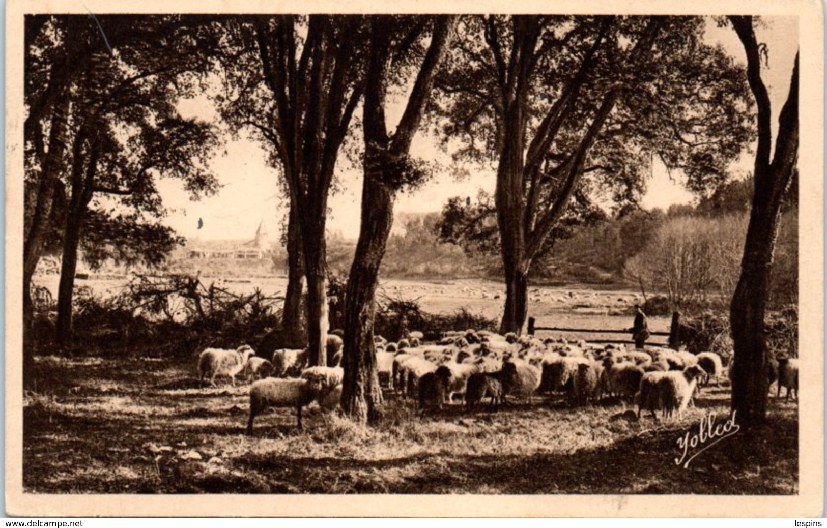 40 - CASTETS Des LANDES -- Sous Les Chênes Lièges - Castets