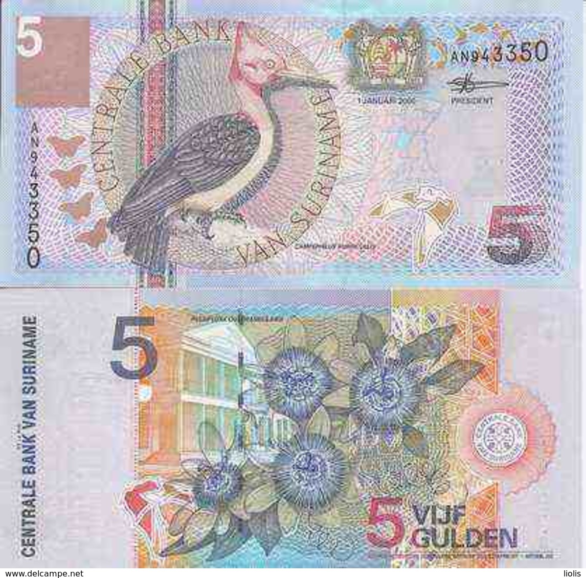 Suriman  P-146  5 Gulden  2000  UNC - Surinam