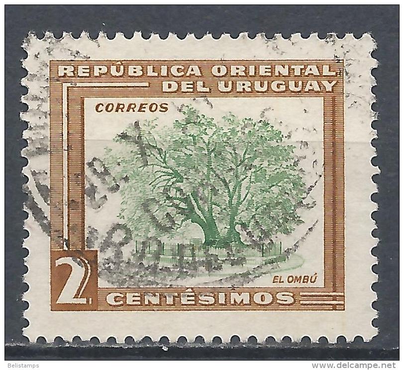 Uruguay  1954. Scott #607 (U) Ombu Tree * - Uruguay