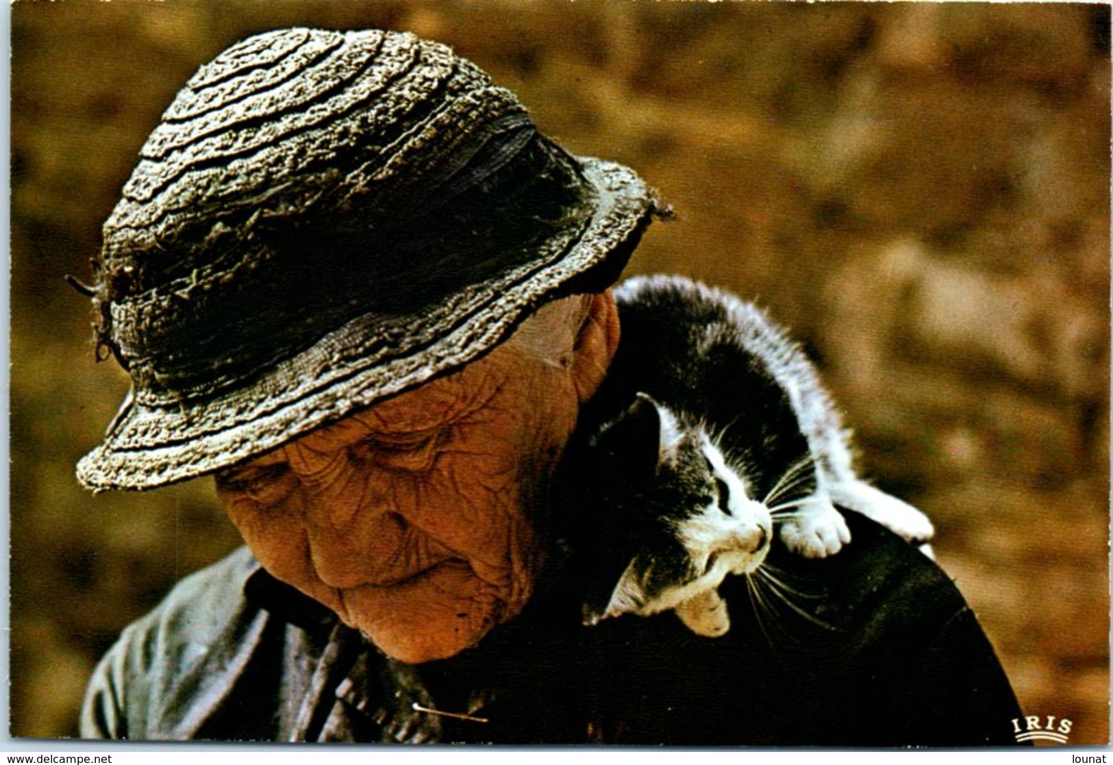 Chats - Les Complices - Photo G. Gaziglia - Chats