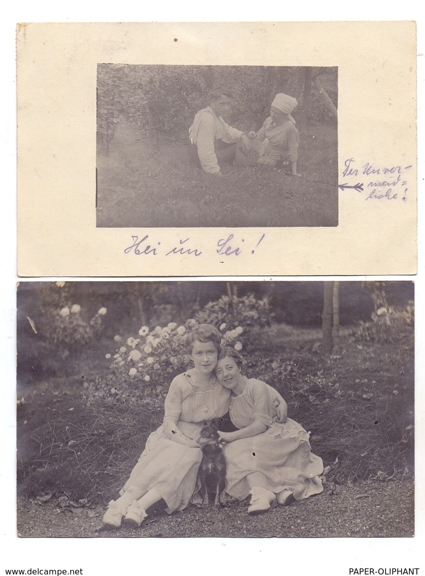 HUNDE - PINSCHER, 2 Photo-AK 1920 - Dogs