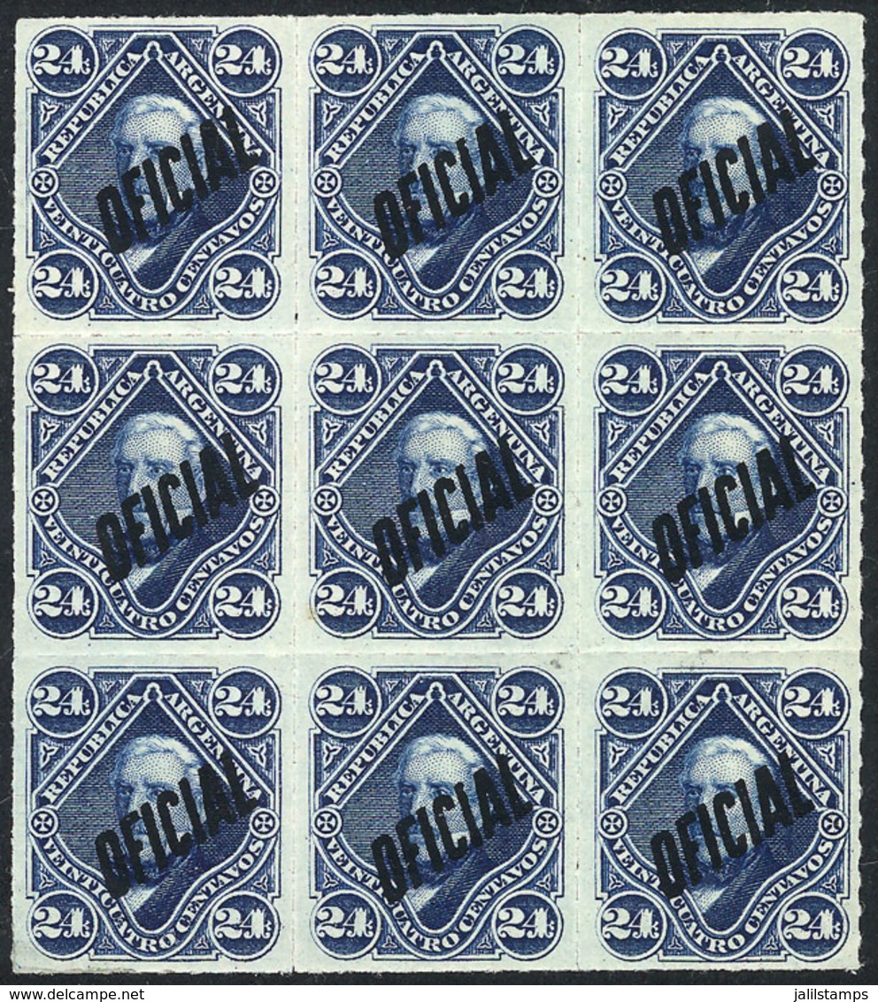 242 ARGENTINA: GJ.24, Fantastic Block Of 9 Stamps, Exceptional Quality (6 MNH And 3 Lightly Hinged), Excellent - Officials