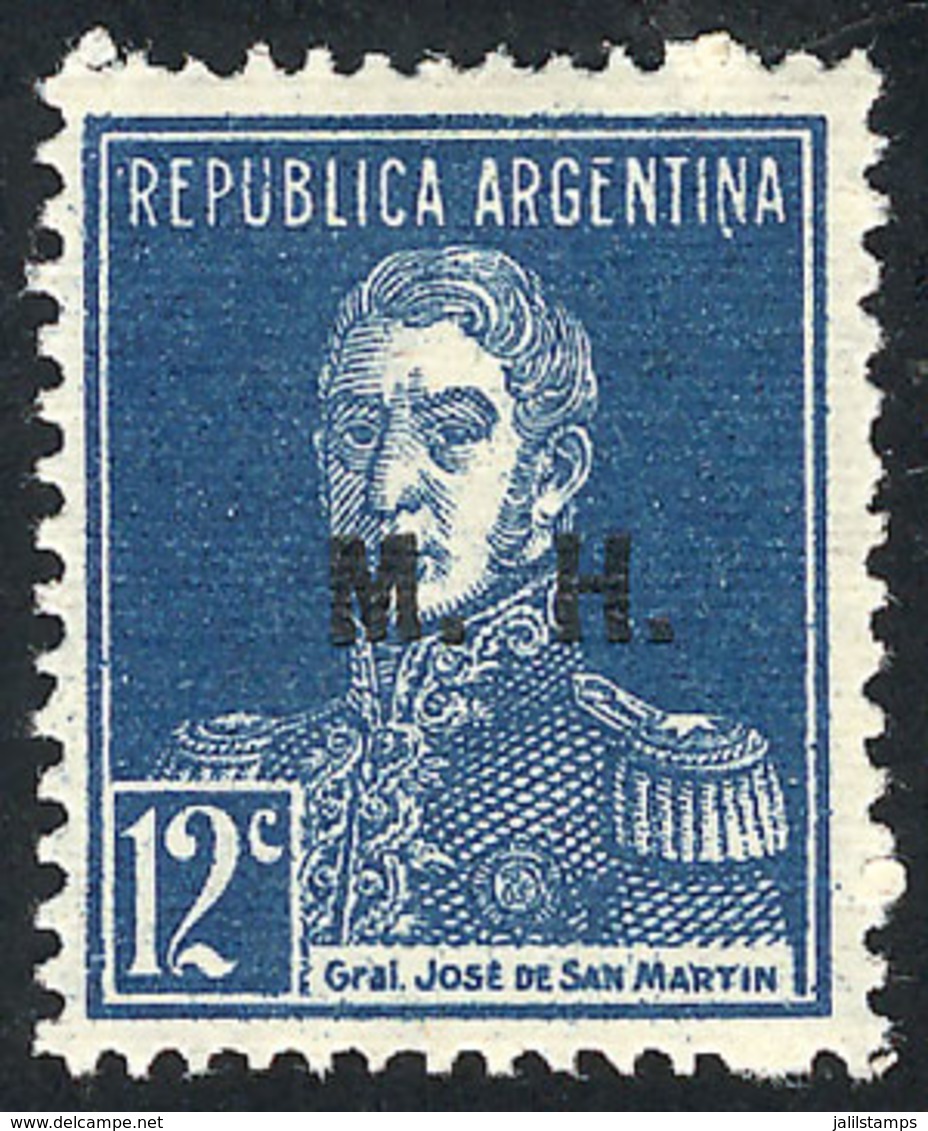 257 ARGENTINA: GJ.258, 1925 12c. San Martín Printed On Ribbed Paper, M.H. Overprint, Mint With Tiny Hinge Mark, Excellen - Dienstmarken