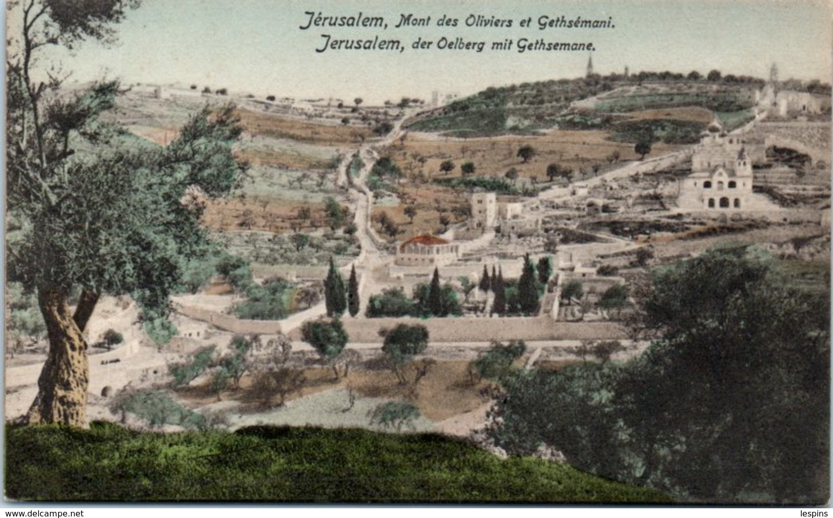 ASIE - ISRAEL -- Jerusalem - Mont Des Oliviers - Israel