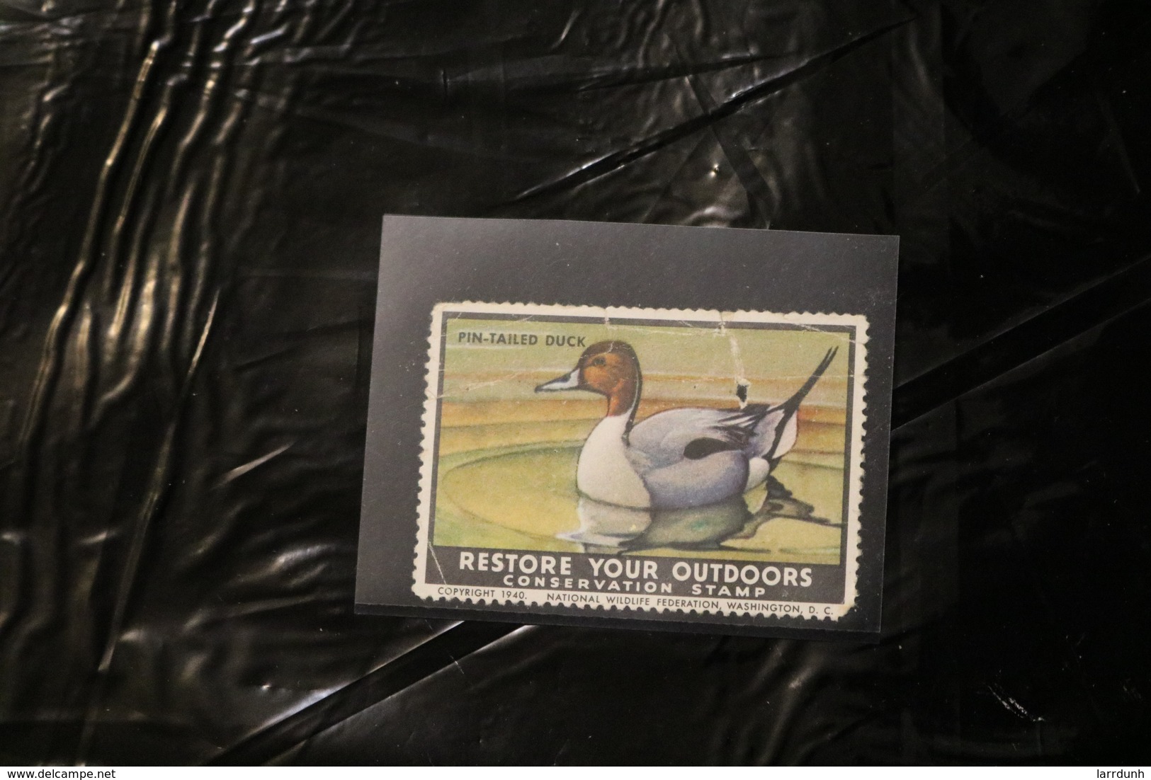 United States 1940 NWF National Wildlife Federation Stamp Unused Tear WYSIWYG Pin-Tailed Duck A04s - Duck Stamps