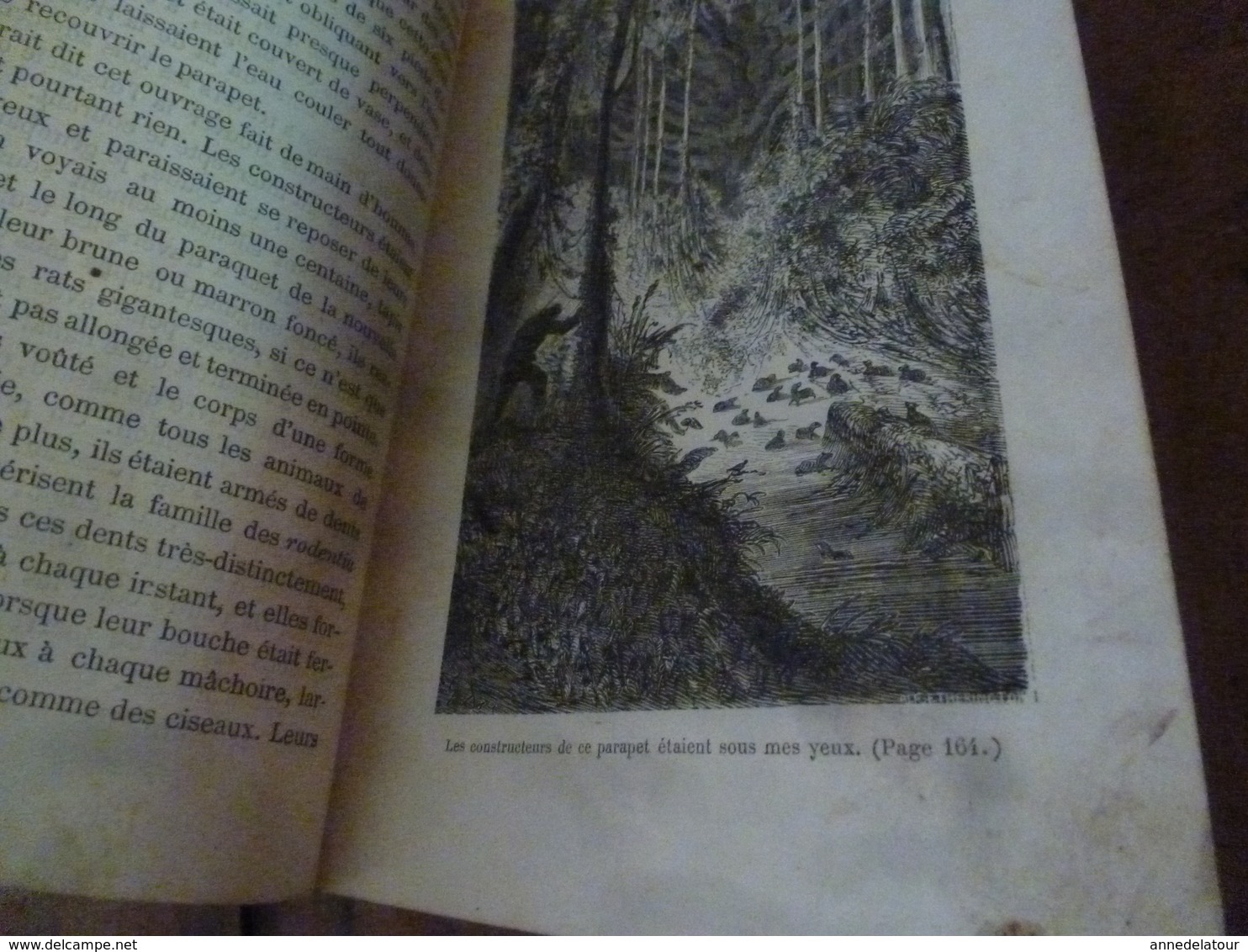 1883 L'Habitation du Désert ou Aventure d'une Famille perdue dans les solitudes de l' Amérique,par Capitaine Mayne-Reid