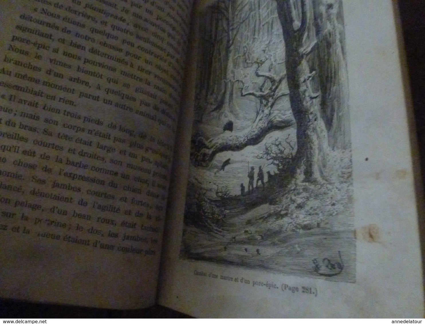 1883 L'Habitation du Désert ou Aventure d'une Famille perdue dans les solitudes de l' Amérique,par Capitaine Mayne-Reid