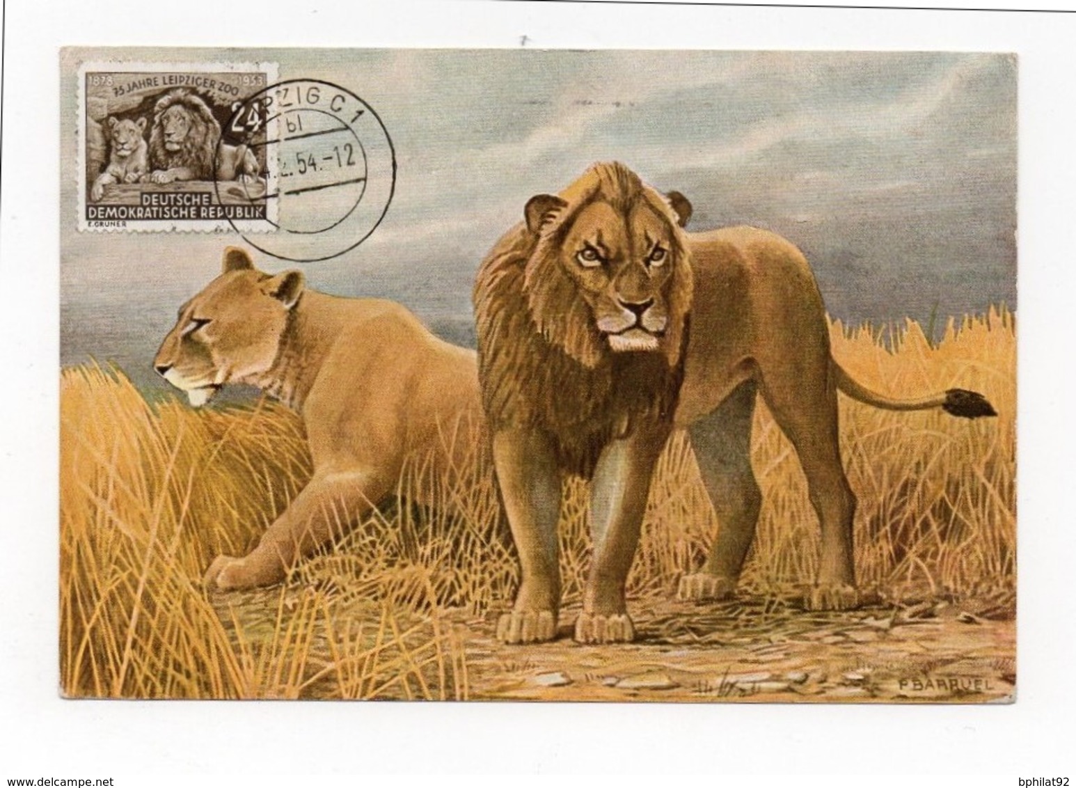 !!! CARTE MAXIMUM LIONS CACHET DE LEIPZIG DE 1954 - Maximum Cards