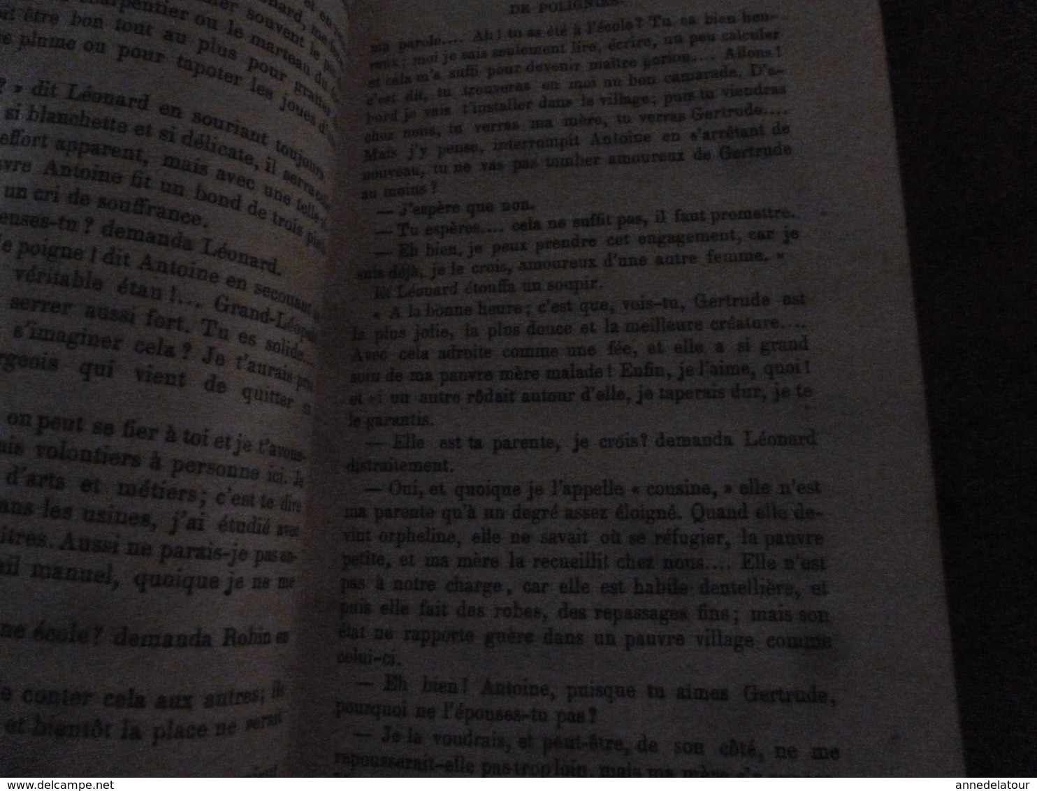 1891  LES HOUILLEURS DE POLIGNIES,(Famille Robin,Les tailles de la Vierge Noire,Coup de grisou, etc)  par Elie Berthet