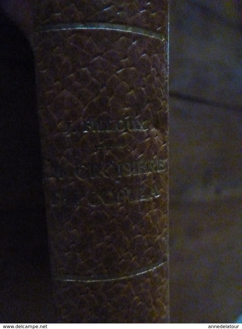 1953   Collection Dirigée Par Paul-Emile VICTOR-------->    LA CROISIERE DU "COPULA" De Jean Filloux - 1801-1900