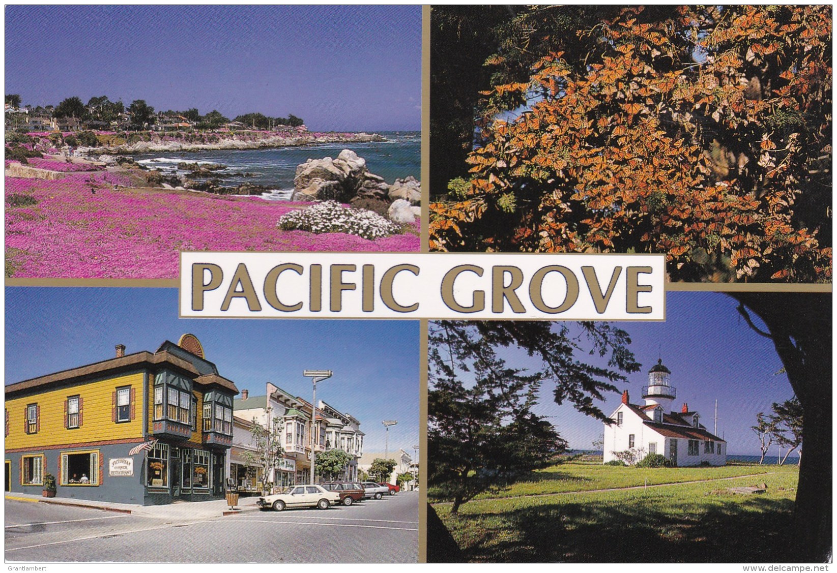 Pacific Grove Multiview, California, US Unused - Other & Unclassified