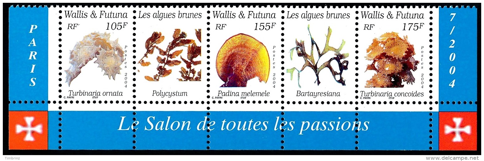 WALLIS ET FUTUNA 2004 - Yv. ? **   Faciale= 3,65 EUR - 3 Timbres ""LES ALGUES BRUNES"" Issus Du BF Yv. 17  ..Réf.W&amp;F - Unused Stamps