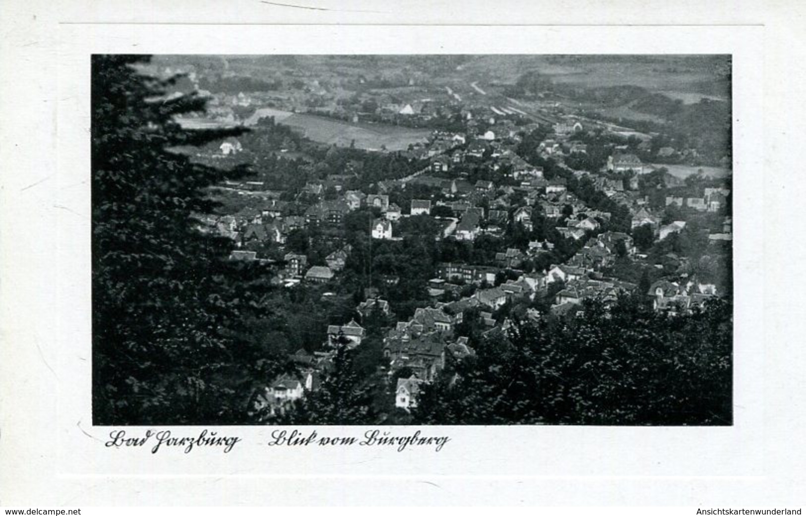 004355  Bad Harzburg - Blick Vom Burgberg - Bad Harzburg