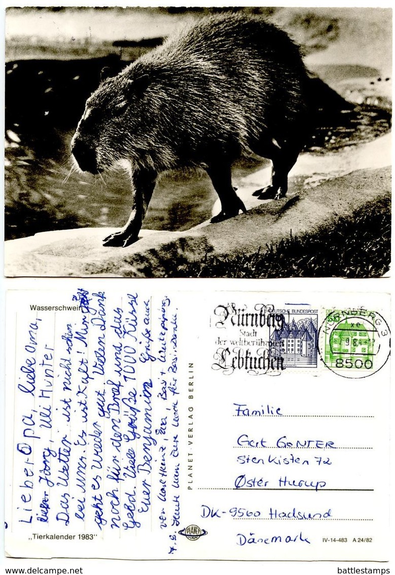 Germany, West 1984 Postcard Capybara, Nürnberg To Hadsund Denmark - Other & Unclassified