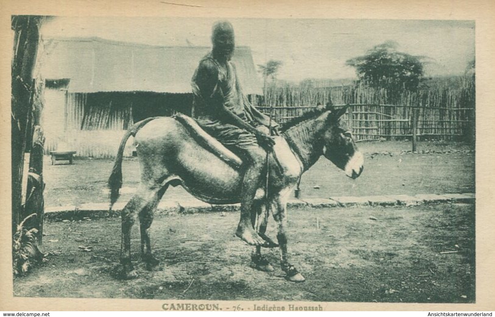 004390  Caméroun, Indigène Haoussah - Kamerun