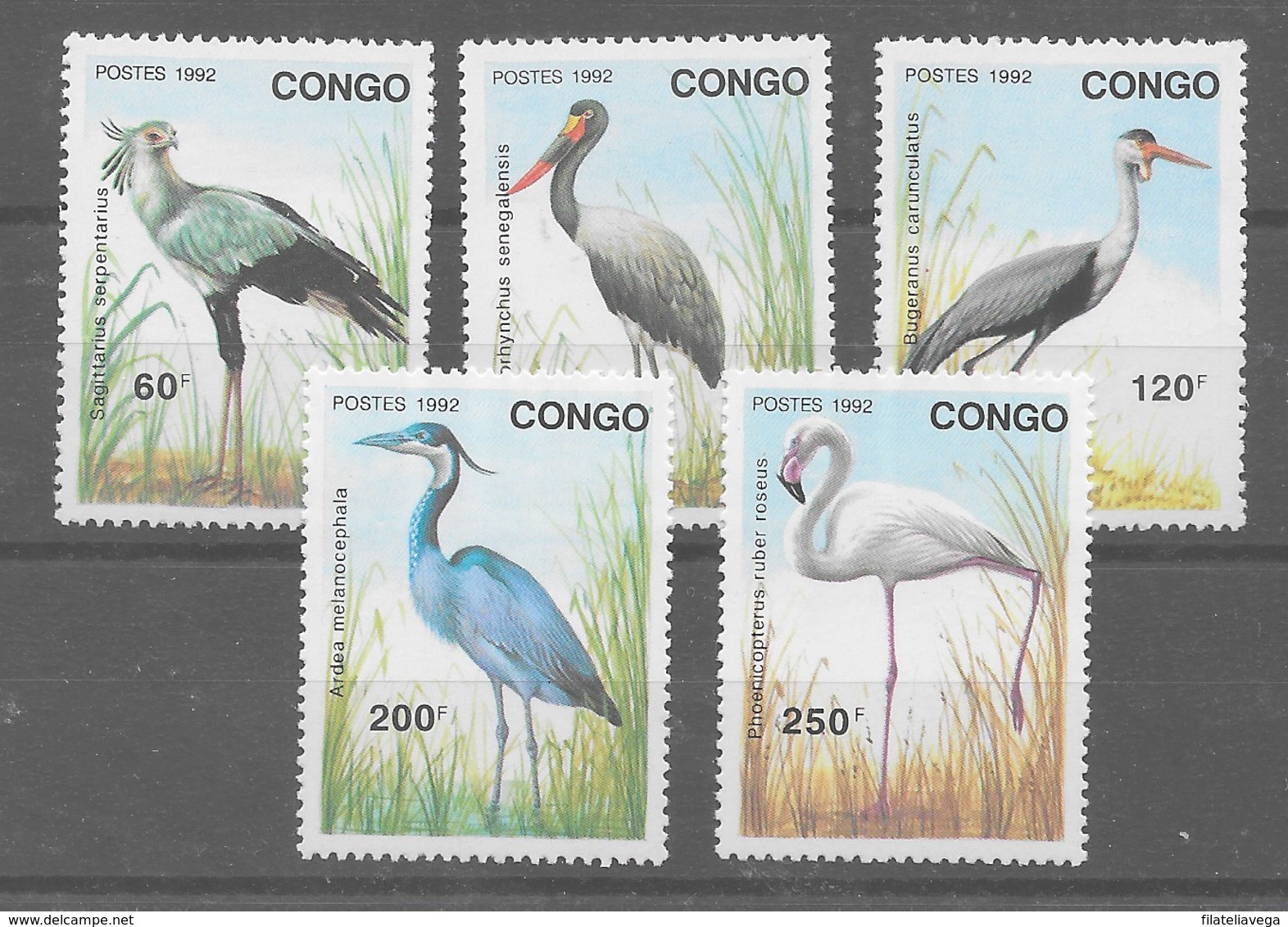 Serie De Congo Nº Yvert 958/62 (**) - Neufs