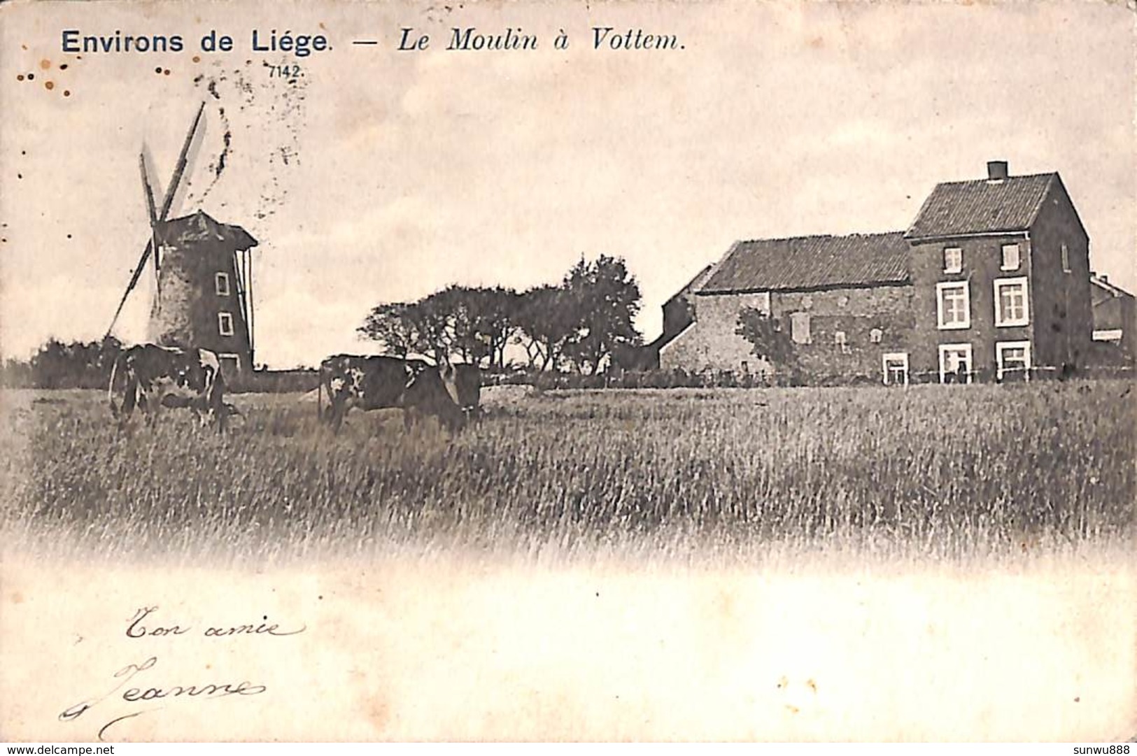 Liège (environs) - Le Moulin à Vottem (animée, Vaches, Heintz Jadoul, 1903) - Liege