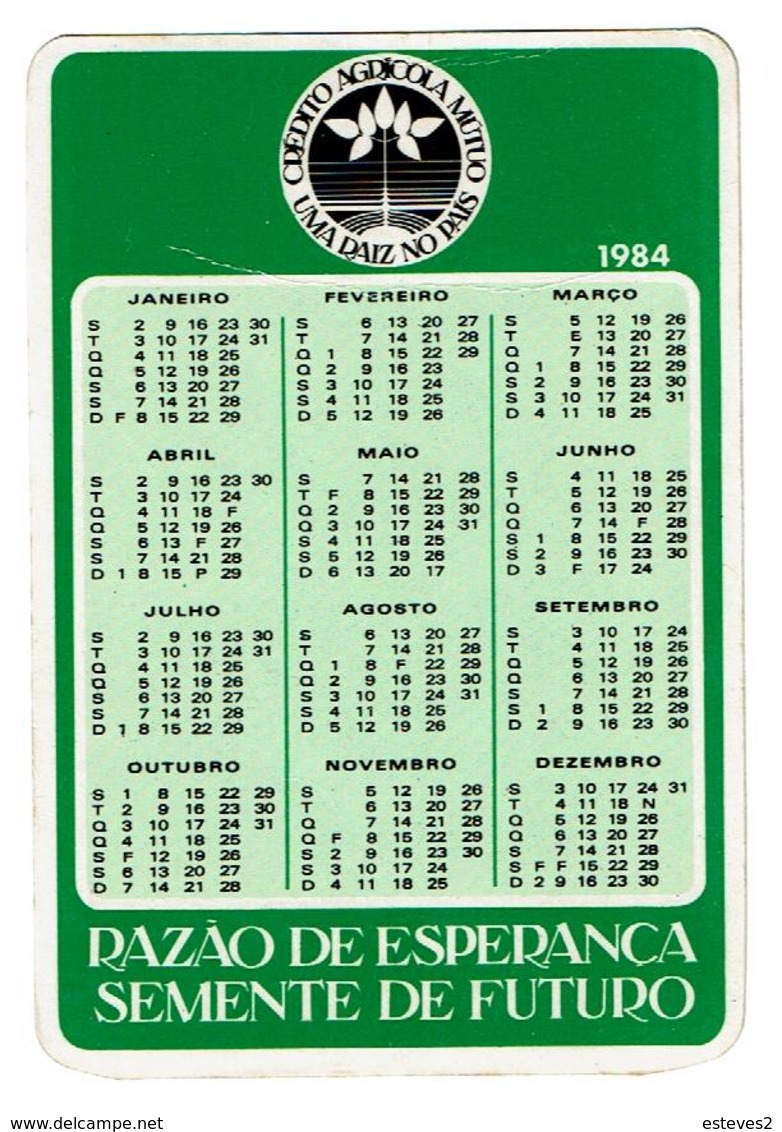 Portugal , CRÉDITO AGRÍCOLA , Bank , Banque , 1984 , Calendar , Calendrier - Petit Format : 1981-90