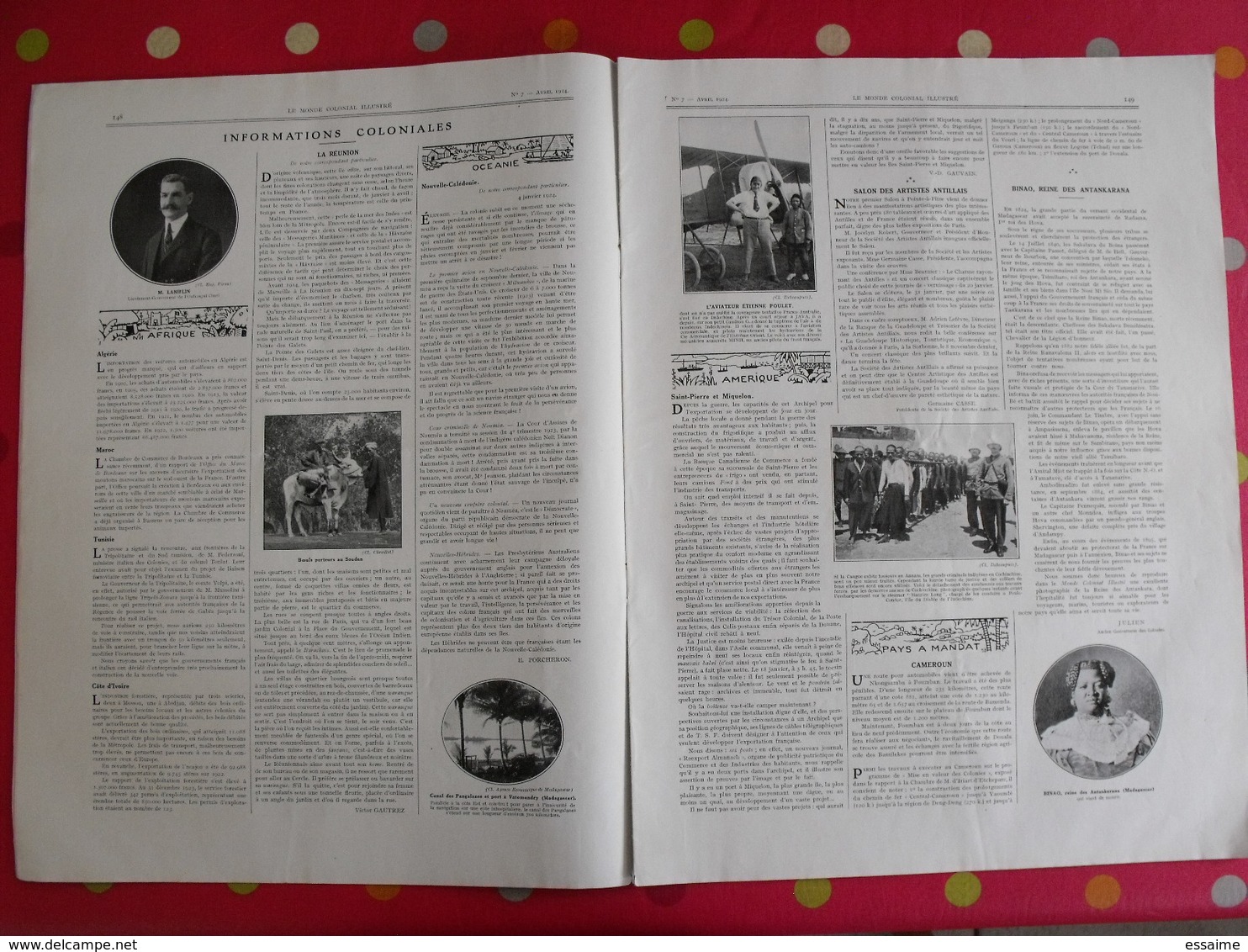 Le Monde Colonial Illustré N° 7 De 1924. Tchad Brazzaville Réunion Saint-pierre Miquelon Madagascar Binao Saigon Cholon - Autres & Non Classés