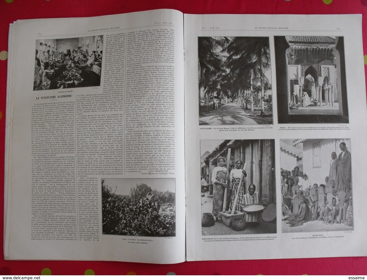 le monde colonial illustré n° 9 de 1924. algérie alger tombouctou annam madagascar cambodge éthiopie tafari doisy togo