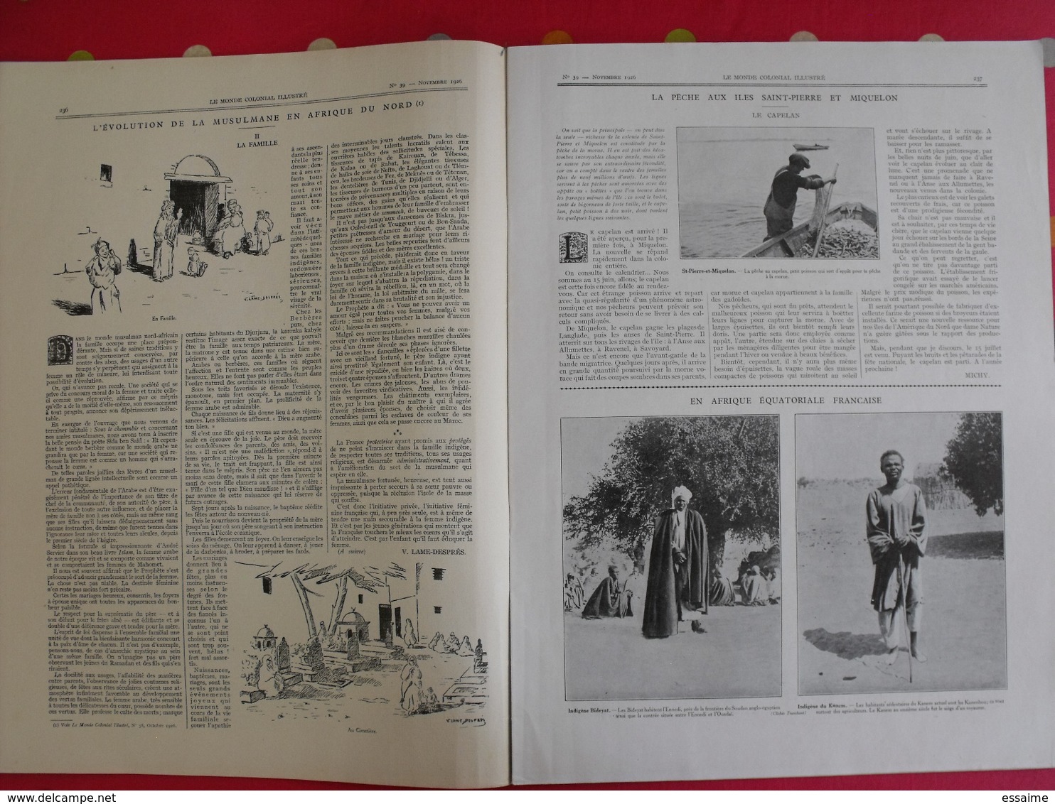 le monde colonial illustré n° 39 de 1926. tonkin hanoi oubangui-chari saint-pierre miquelon réunion dakar indochine