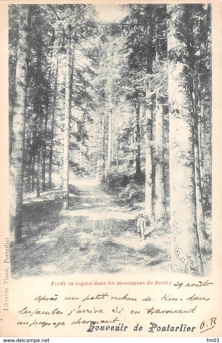 Pontarlier 1900 Tissot Souvenir Montagnes Du Doubs Forêt Thème Bois - Pontarlier