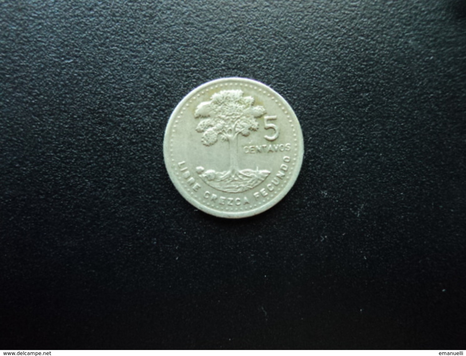 GUATEMALA : 5 CENTAVOS  1989   KM 276.4    TTB - Guatemala