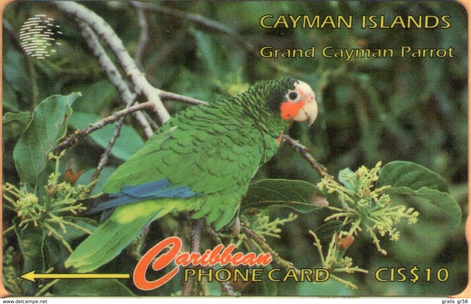 Cayman Island - CAY-11B, GPT, 11CCIB, Grand Cayman Parrot (Amazona Leucocephala Caymanensis), 10$, 18,700ex, 1995, Used - Cayman Islands
