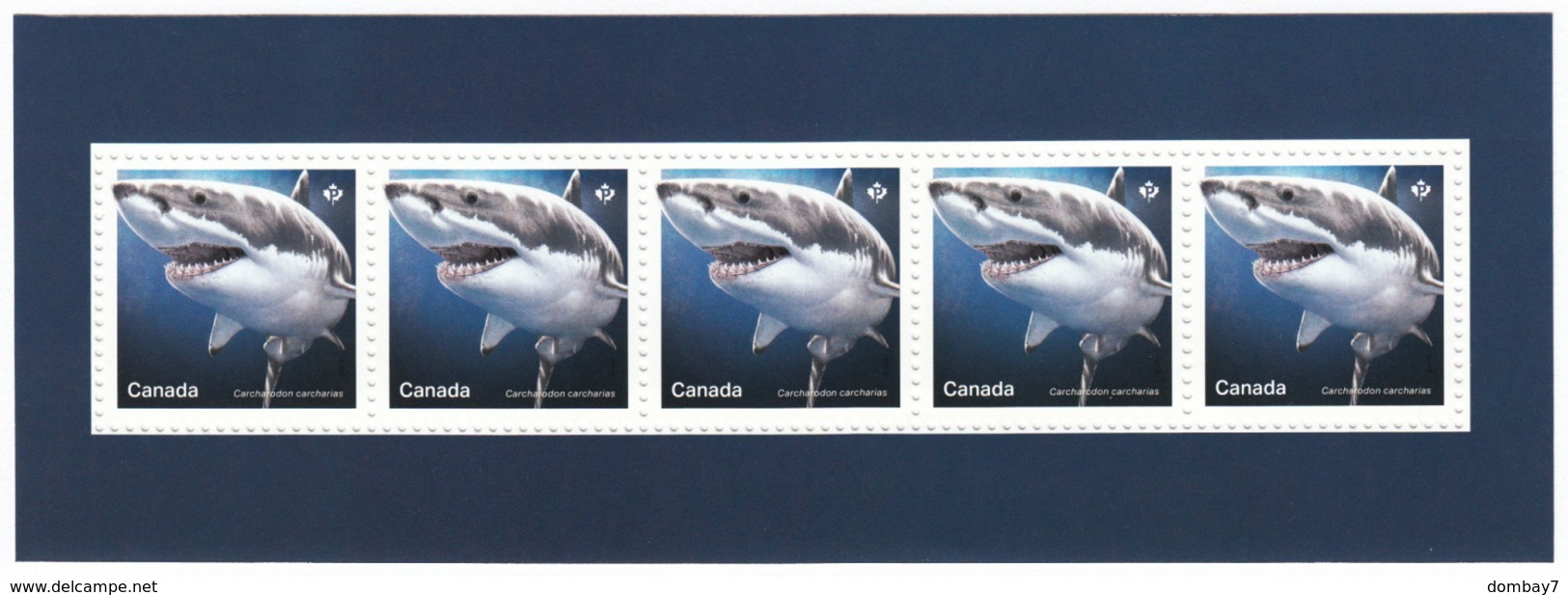 = SHARKS In Canadian Waters = HAIFISCH = REQUIN = Tiburón = SQUALO = 5 Souvenir Sheets From Uncut Sheet Canada 2018 - Vie Marine
