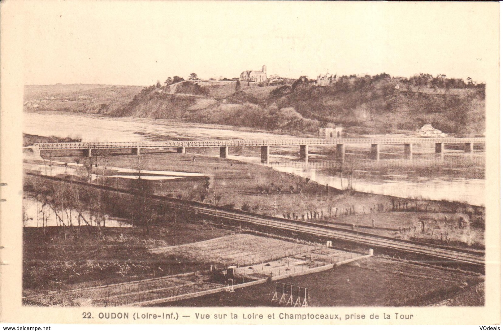 (44) Loire Atlantique - CPA - Oudon - Vue Sur La Loire Et Champtoceaux - Oudon