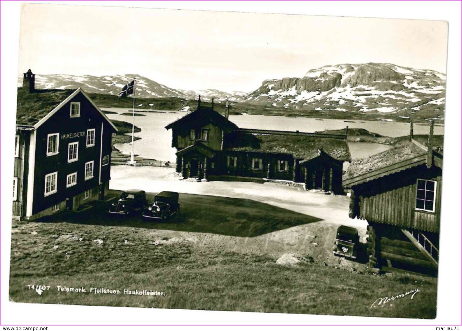 M6500 NORVEGIA NORVEY TELEMARK FJELLSTUEN HAUKELISAETER NON VIAGGIATA - Norvège