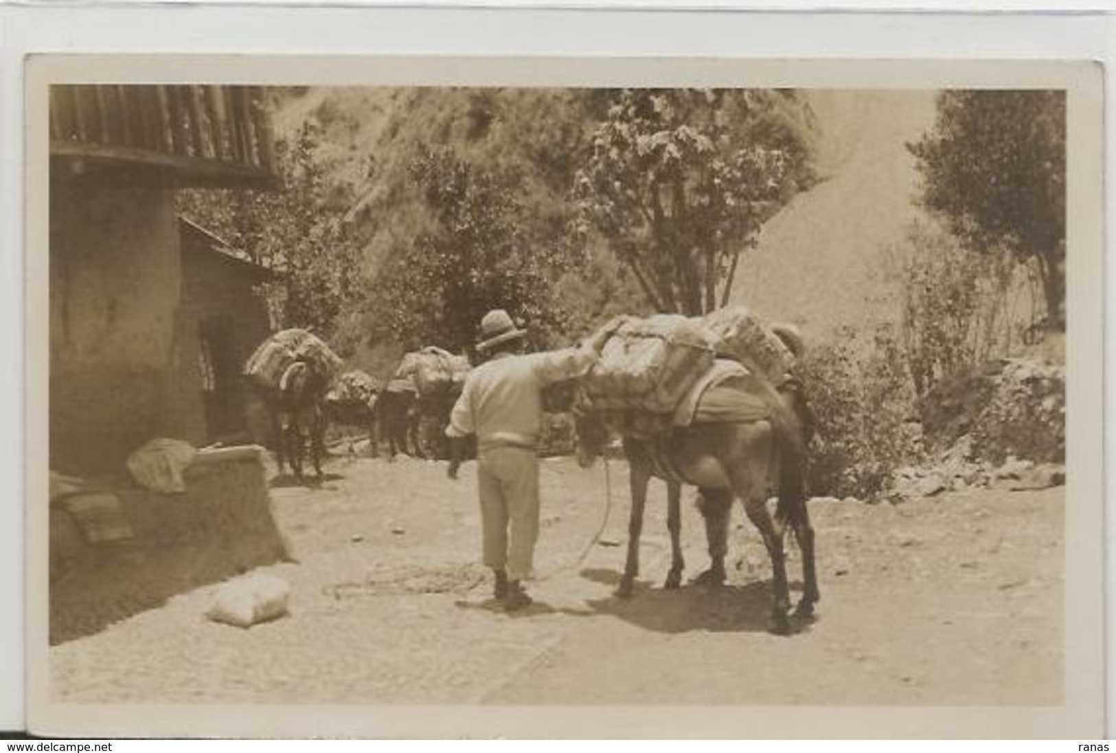 CPA Bolivie Bolivia  Carte Photo RPPC Types Non Circulé Ane - Bolivien