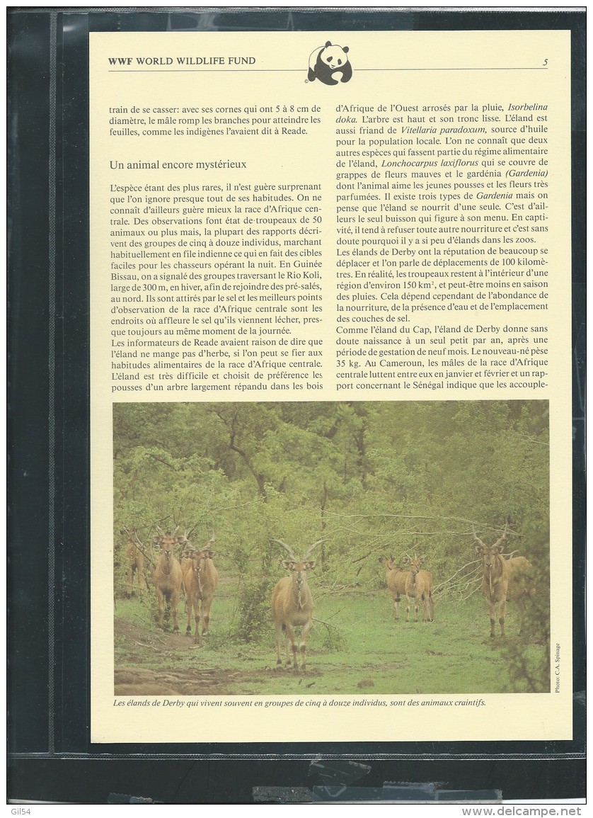 Dossier Wwf Complet - L'eland  De  Derby ( Voir Les Scans ) -(  11/08/1986 ) - Fab 65 - Mali (1959-...)