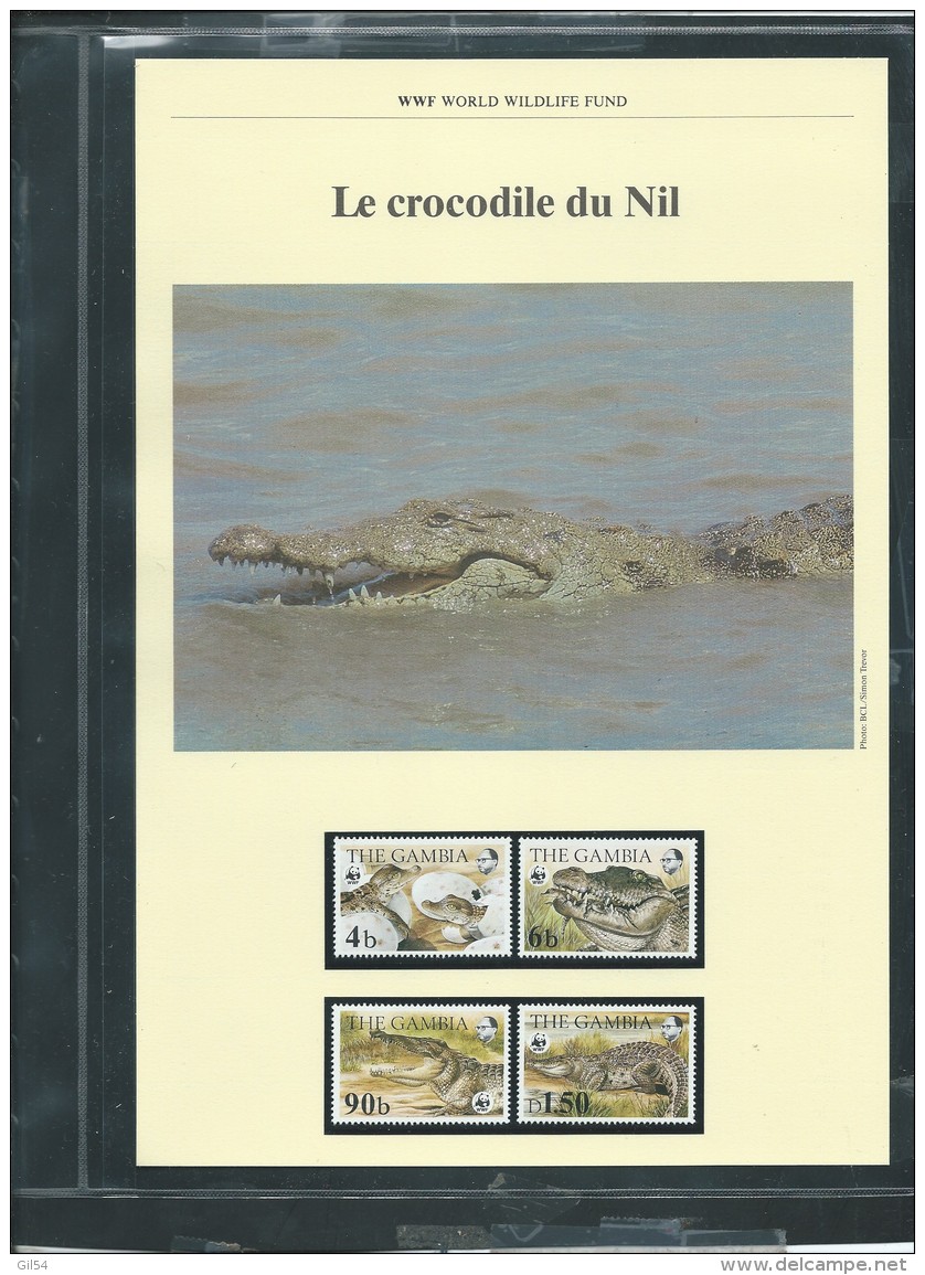 Dossier Wwf Complet - Le Crocodile Du Nil  ( Gambie  )  ( Voir Les Scans ) -(  1984 ) - Fab 74 - Gambie (1965-...)