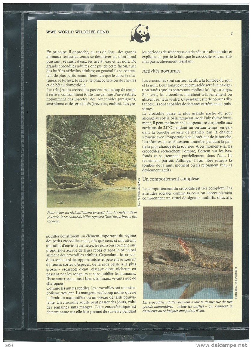 Dossier Wwf Complet - Le Crocodile Du Nil  ( Gambie  )  ( Voir Les Scans ) -(  1984 ) - Fab 74 - Gambie (1965-...)