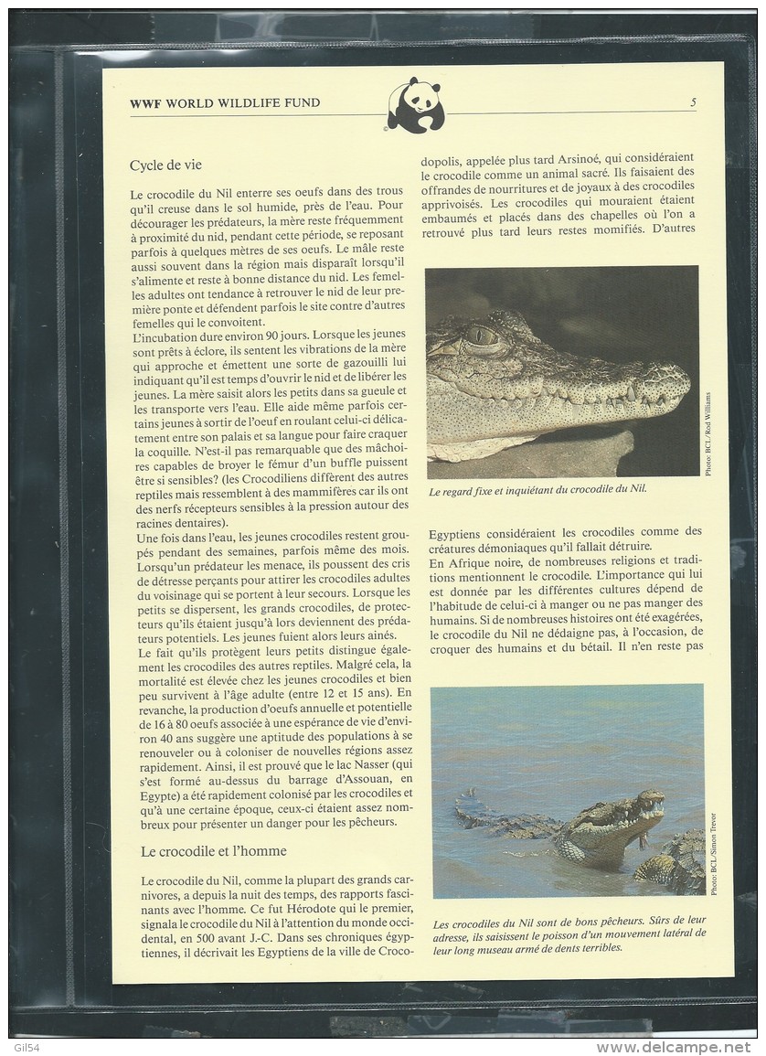 Dossier Wwf Complet - Le Crocodile Du Nil  ( Gambie  )  ( Voir Les Scans ) -(  1984 ) - Fab 74 - Gambie (1965-...)