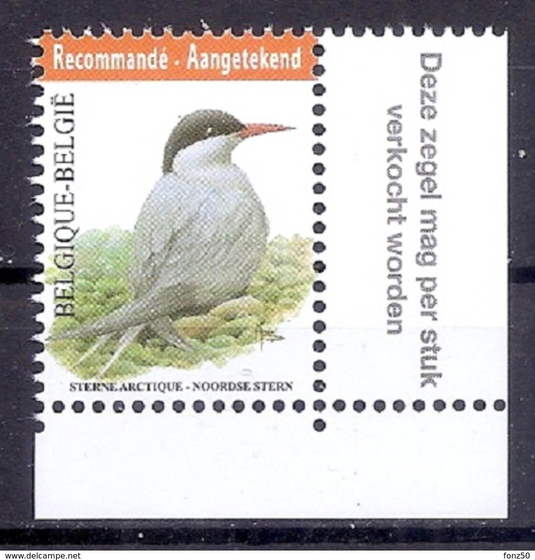 BELGIE * Buzin * Nr 4306 * Vlaamse Tekst * Postfris Xx * WIT PAPIER - 1985-.. Oiseaux (Buzin)