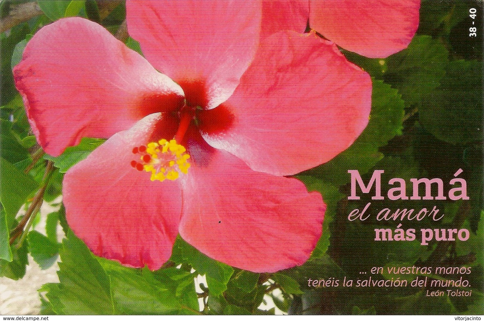 Entier Postaux - Mother'a Day - Cuba - Mother's Day