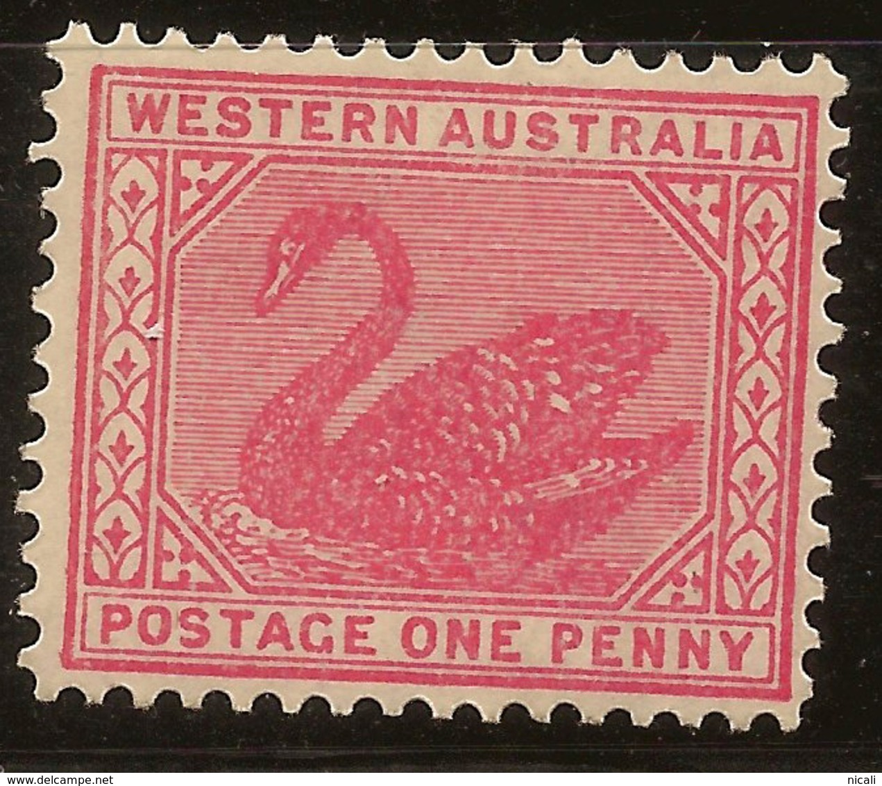 WESTERN AUSTRALIA 1902 1d Swan SG 117a HM #AME56 - Ongebruikt