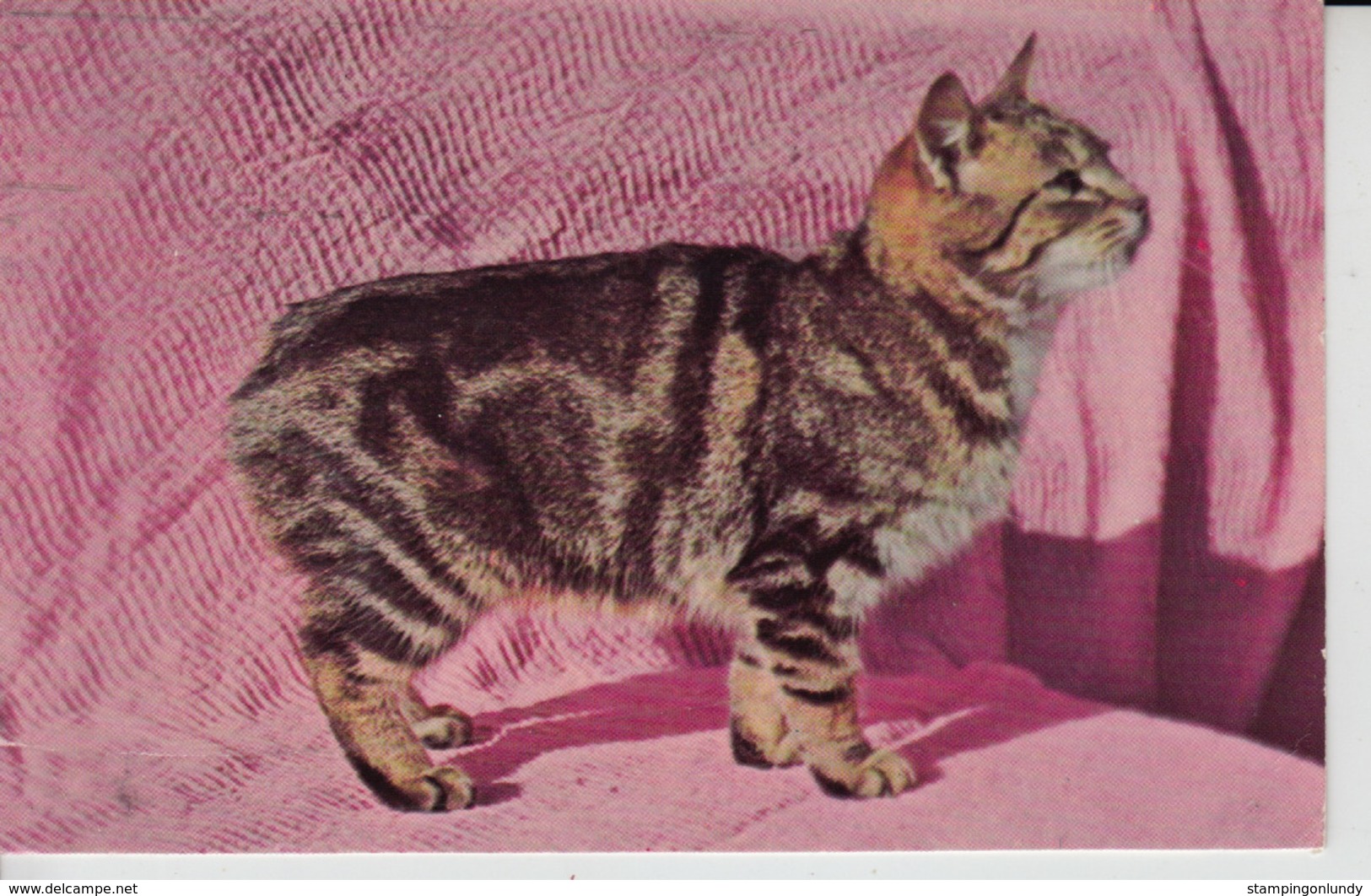 MC57. Manx Cat I.O.M. 1986 - Gatos
