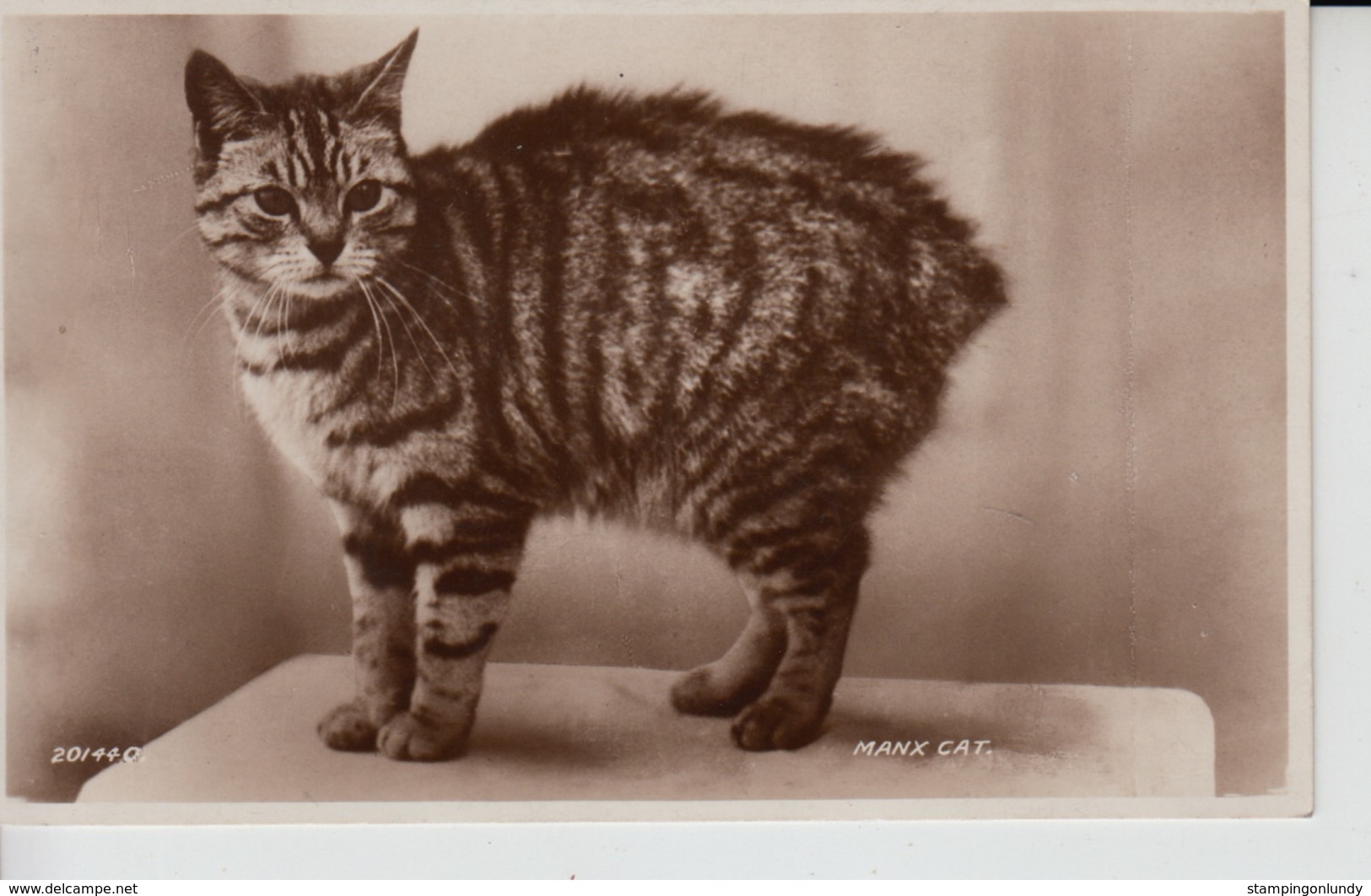 MC63. Manx Cat I.O.M. - Gatos