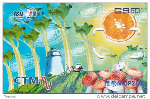 Macau, GSM SIM Card Wiyth Chip, Mushrooms, Lighthouse, 2 Scans. - Macau