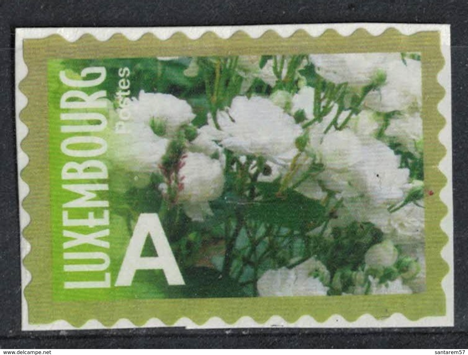 Luxembourg 2010 Used Sur Fragment Fleurs Rose Prince Jean De Luxembourg - Neufs