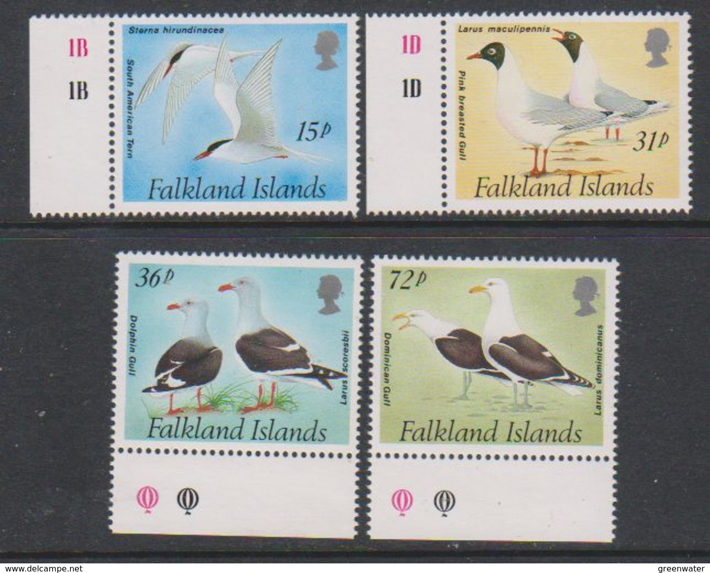 Falkland Islands 1993 Gulls And Terns 4v ** Mnh (39516H) - Falklandeilanden