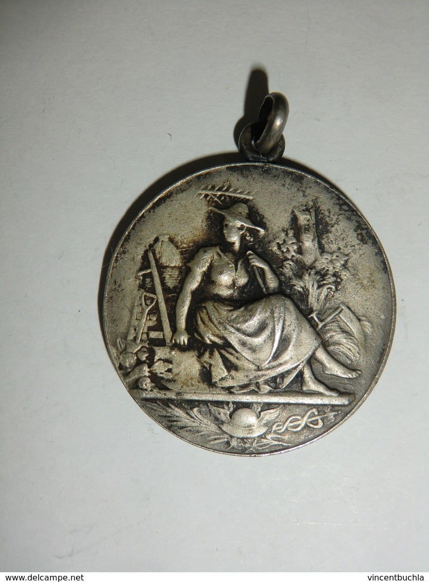Médaille Belgique Comice De Fleron 1907 (Fisch Cie) - Profesionales / De Sociedad